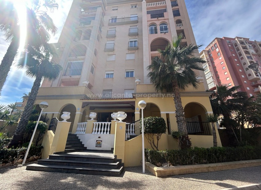 Apartment / flat in Torrevieja Centro