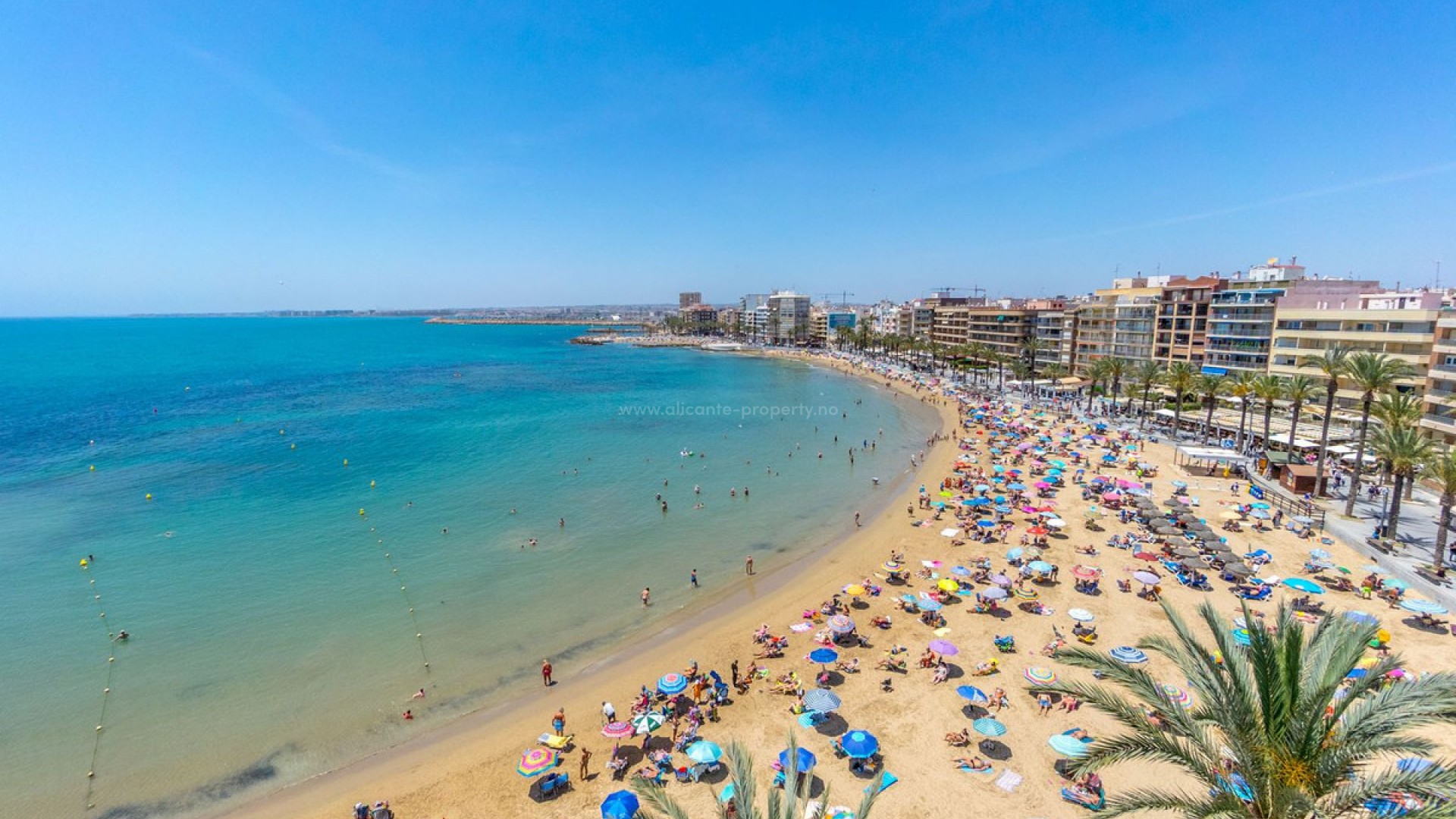 Apartment / flat in Torrevieja Centro