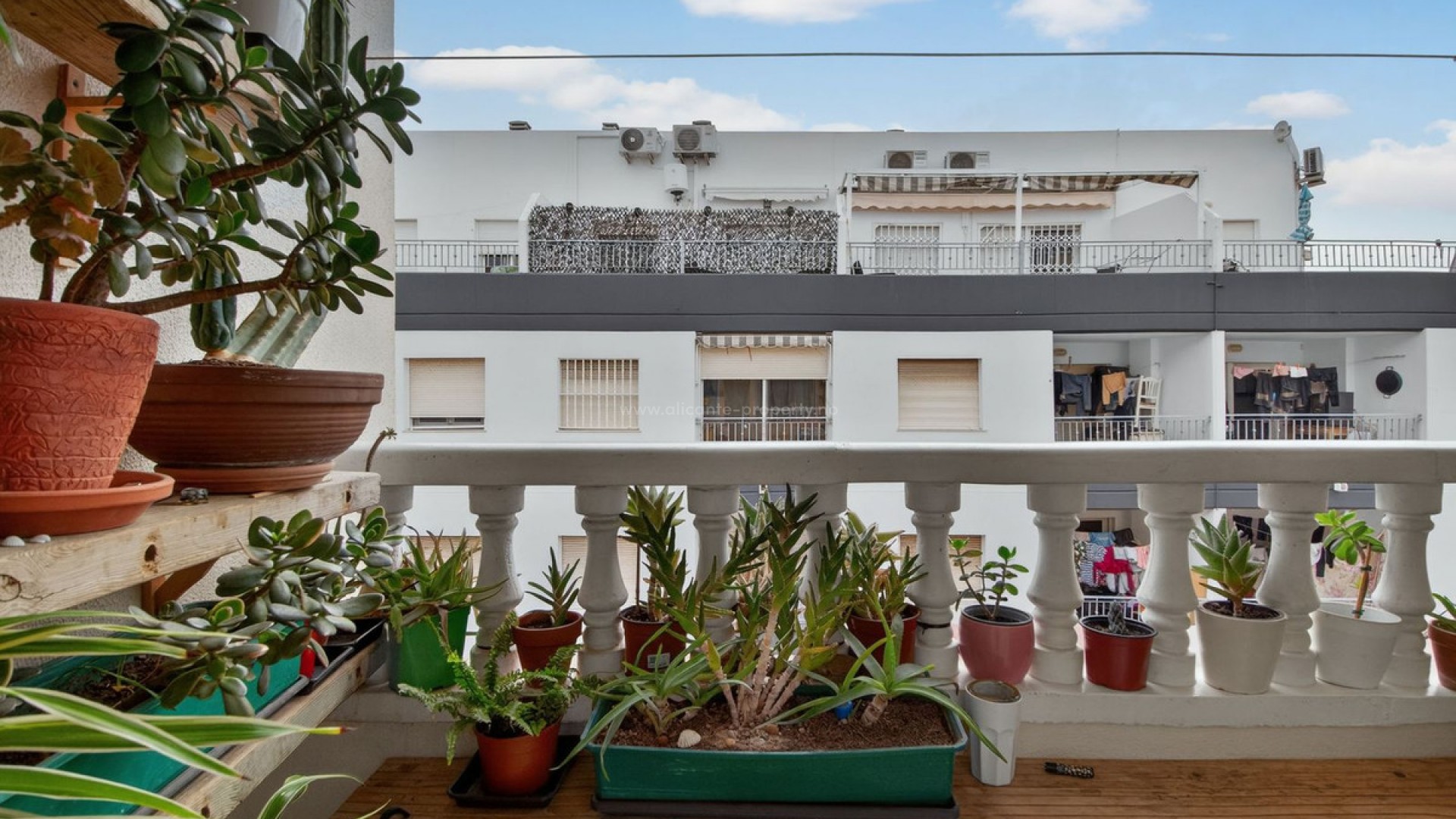 Apartment / flat in Torrevieja Centro