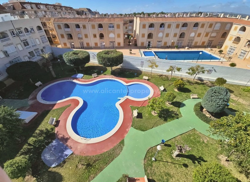 Apartment / flat in Torrevieja Centro