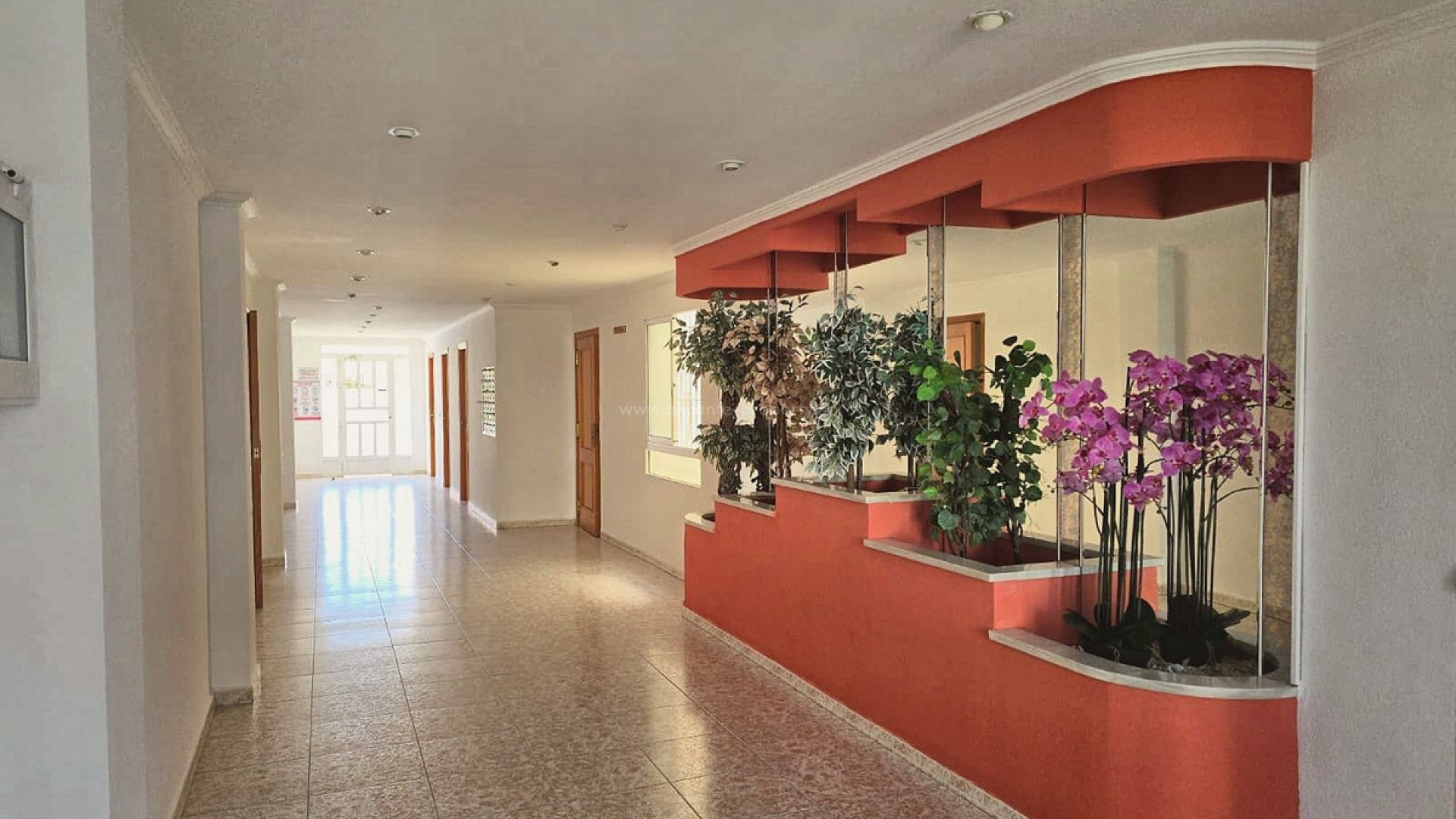 Apartment / flat in Torrevieja Centro