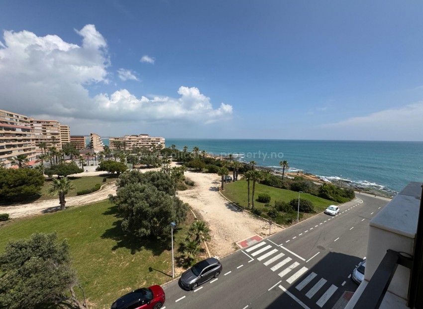 Apartment / flat in Torrevieja Centro
