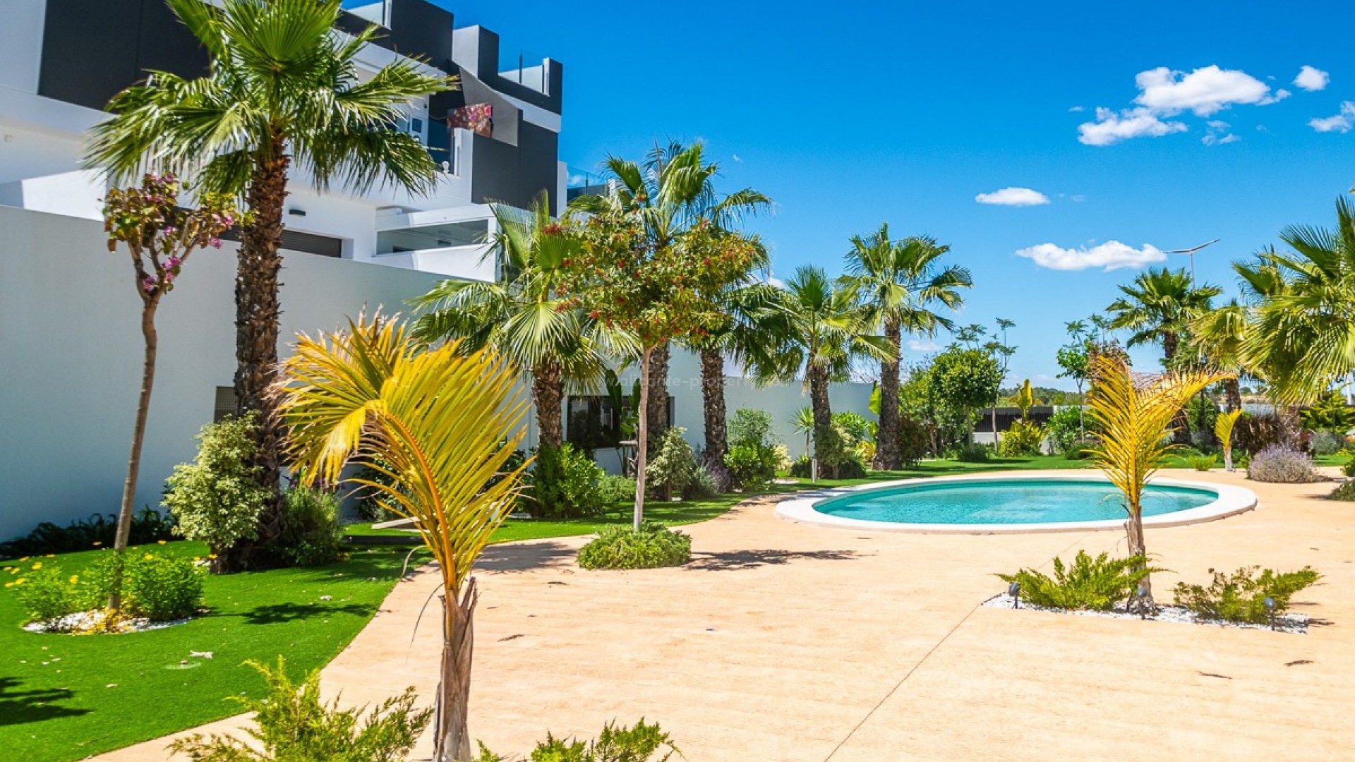 Apartment / flat in Torrevieja Centro