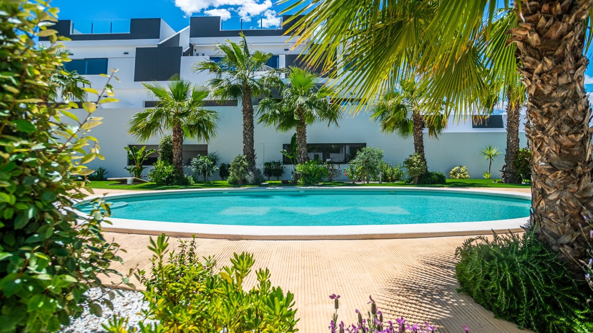 Apartment / flat in Torrevieja Centro