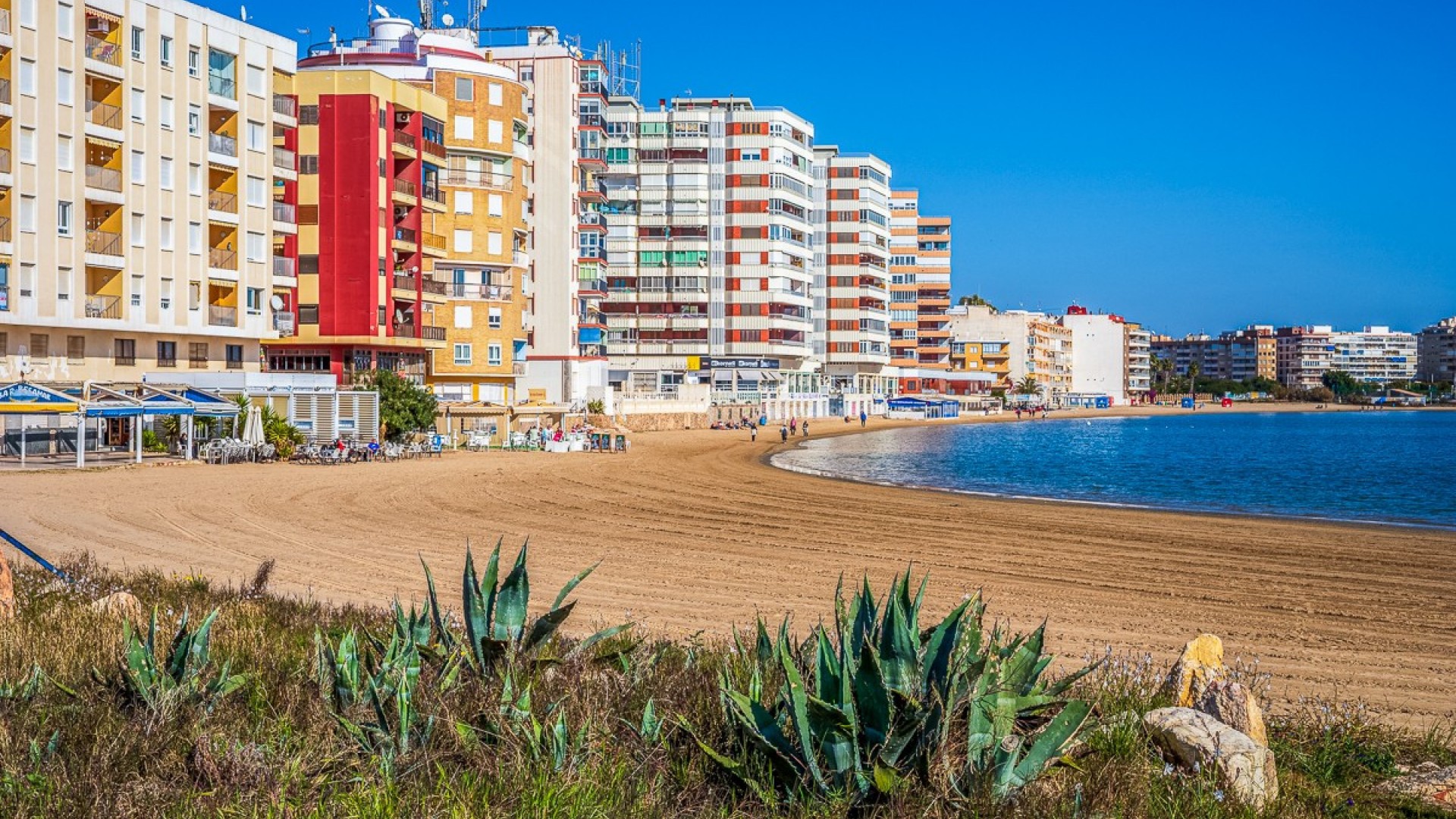 Apartment / flat in Torrevieja Centro