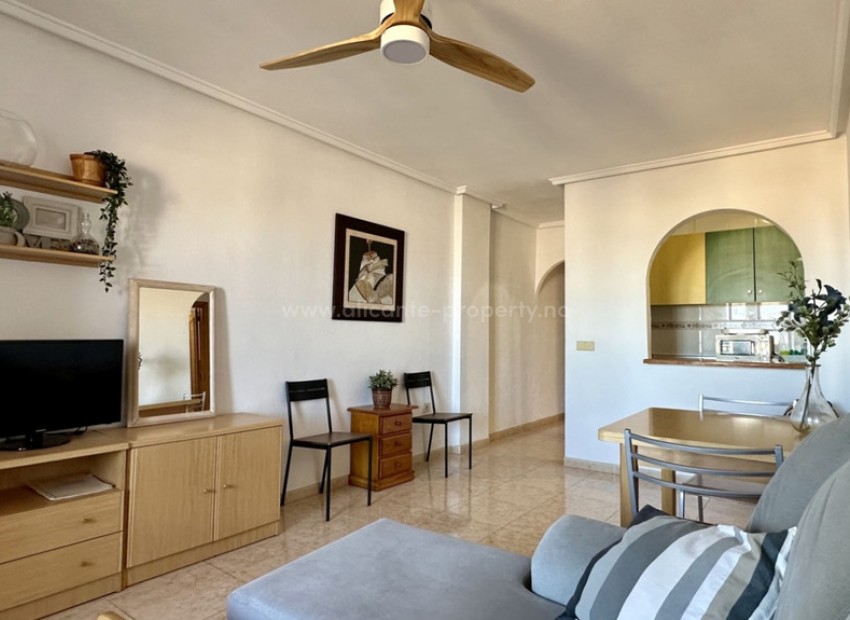 Apartment / flat in Torrevieja Centro
