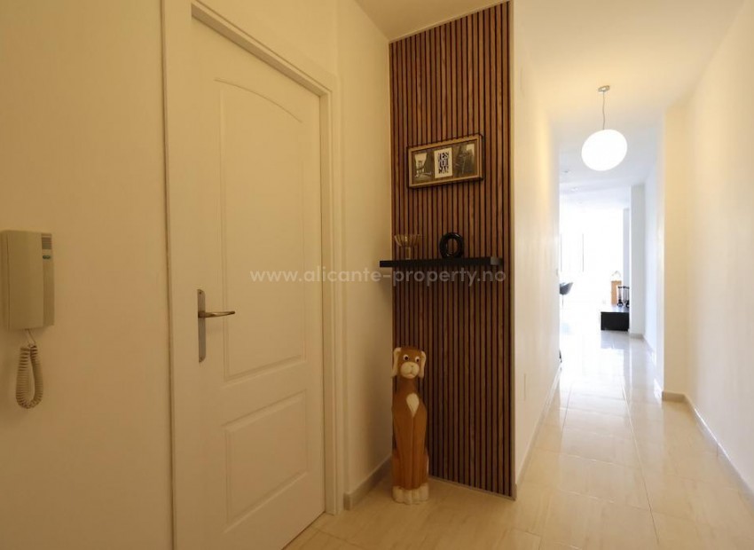 Apartment / flat in Torrevieja Centro