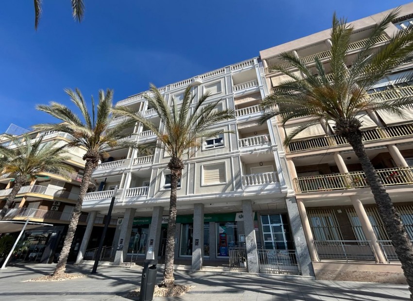 Apartment / flat in Torrevieja Centro