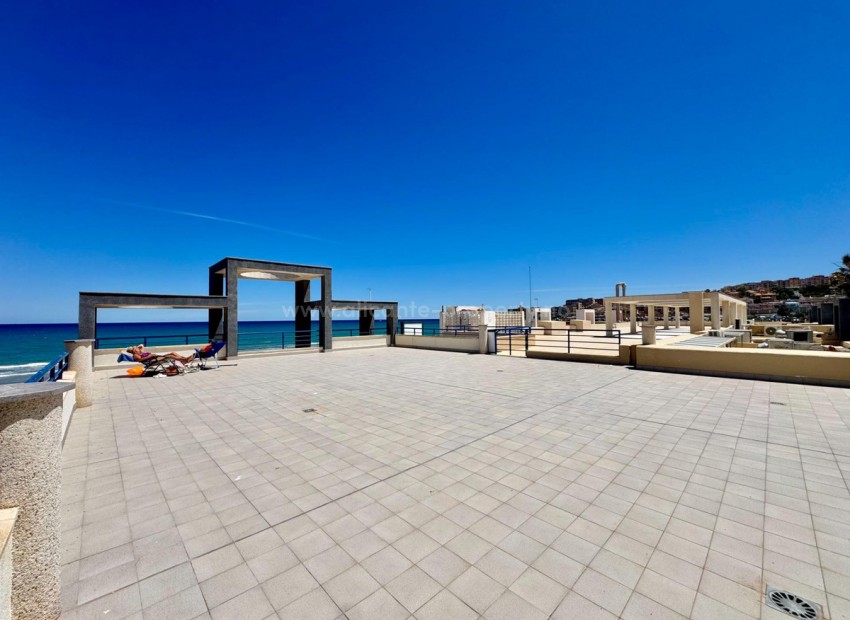 Apartment / flat in Torrevieja Centro