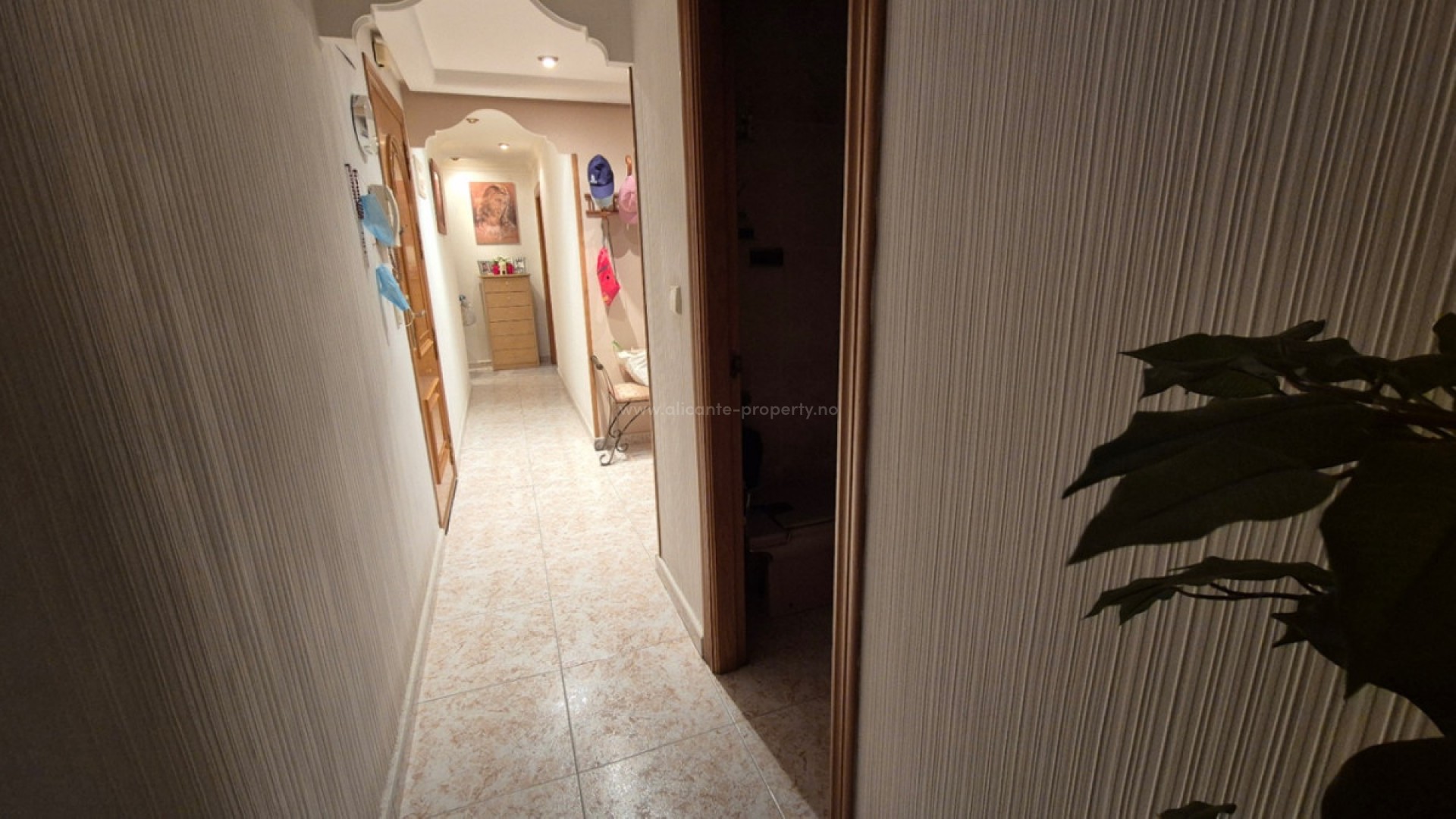Apartment / flat in Torrevieja Centro