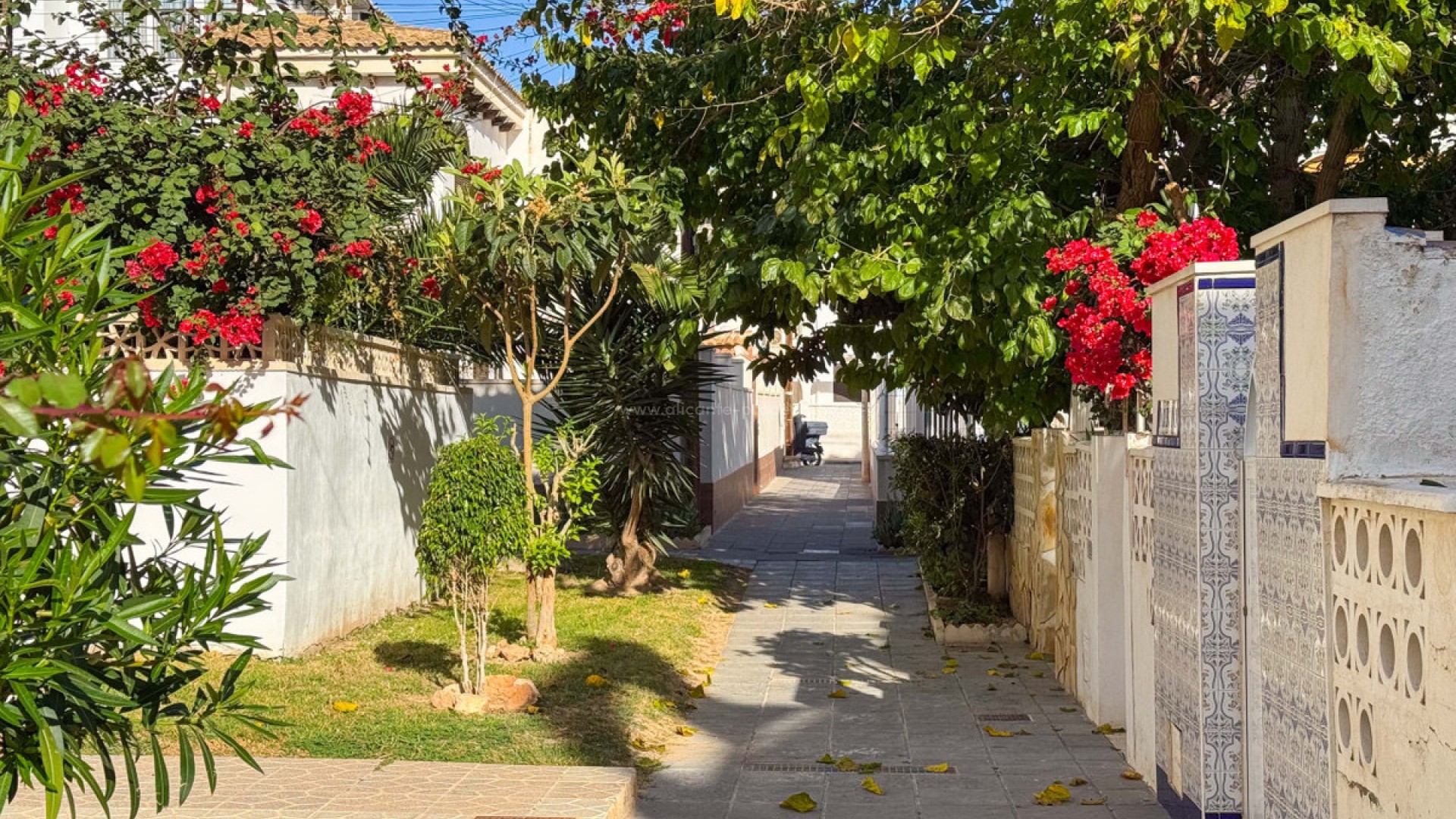 Apartment / flat in Torrevieja Centro