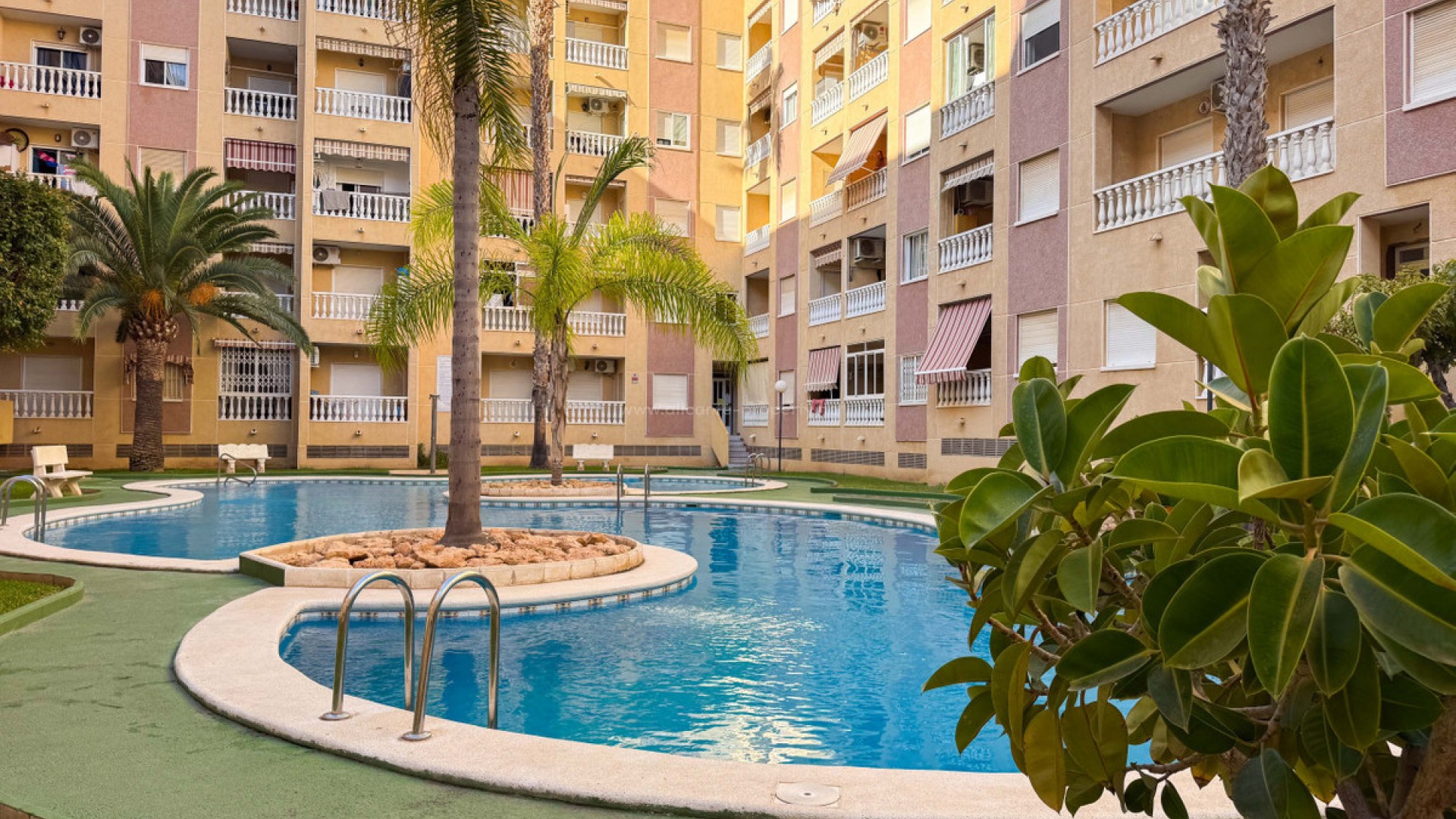 Apartment / flat in Torrevieja Centro