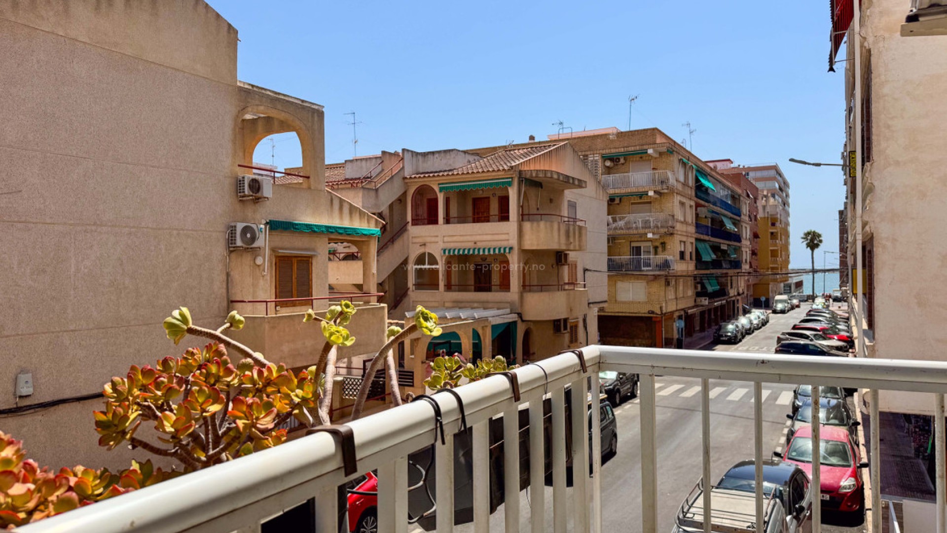 Apartment / flat in Torrevieja Centro