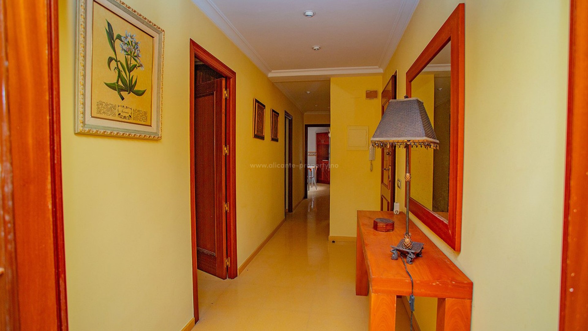 Apartment / flat in Torrevieja Centro