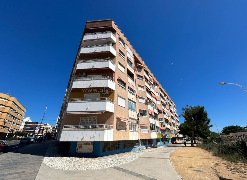 Apartment / flat in Torrevieja Centro