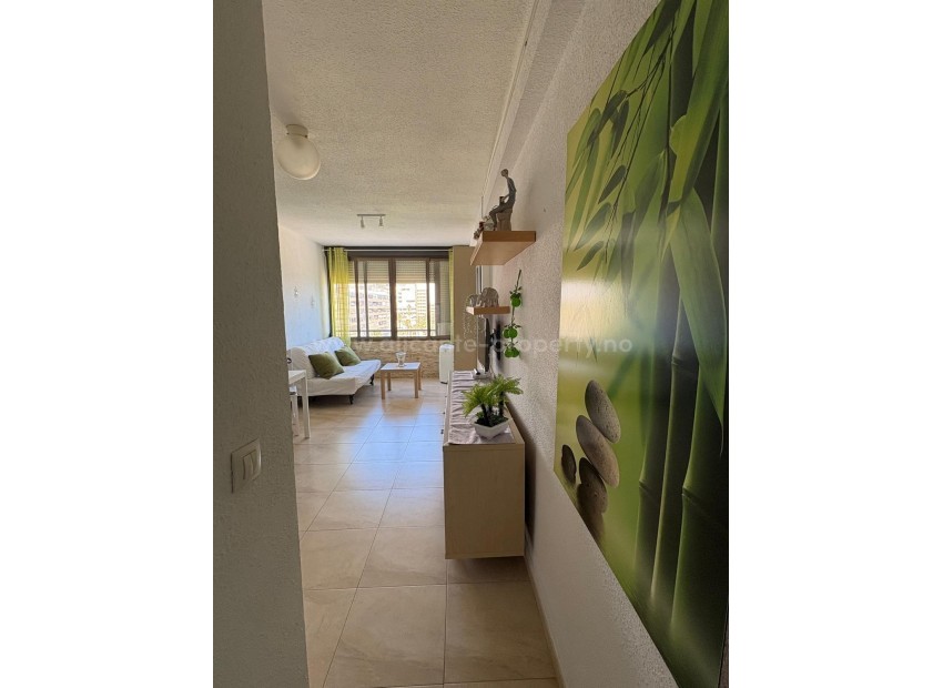 Apartment / flat in Torrevieja Centro