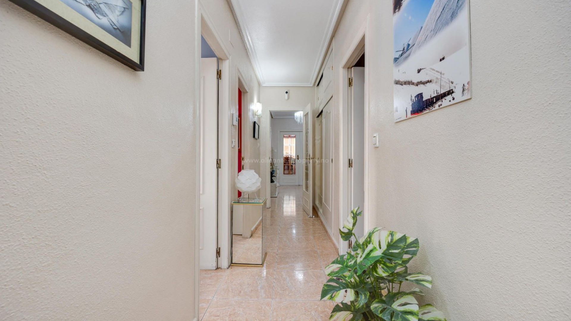 Apartment / flat in Torrevieja Centro