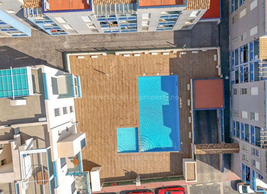 Apartment / flat in Torrevieja Centro