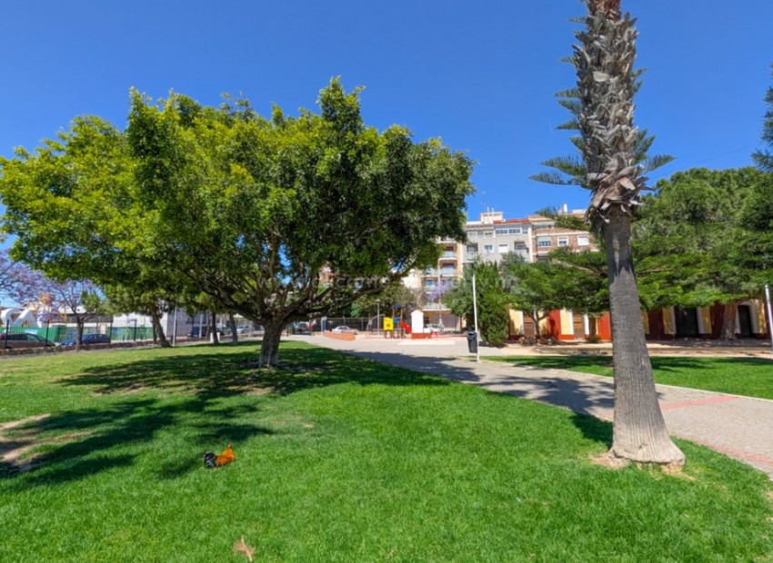Apartment / flat in Torrevieja Centro