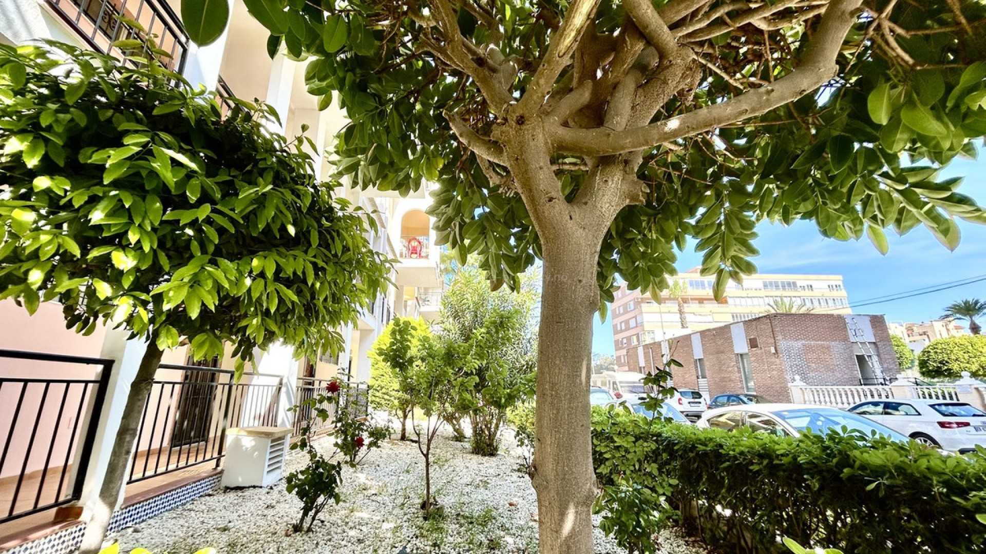 Apartment / flat in Torrevieja Centro