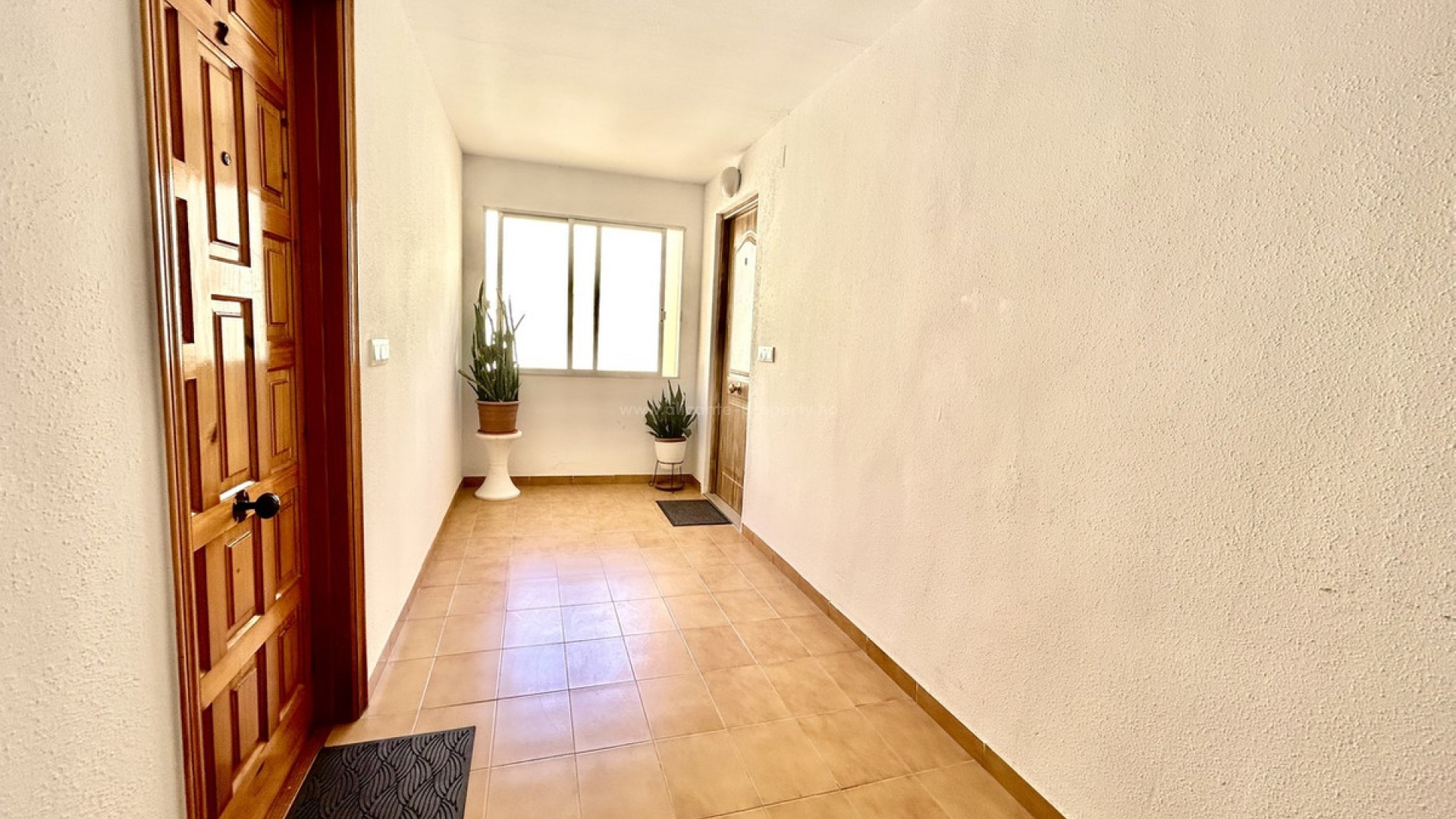 Apartment / flat in Torrevieja Centro