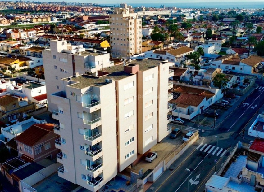 Apartment / flat in Torrevieja Centro