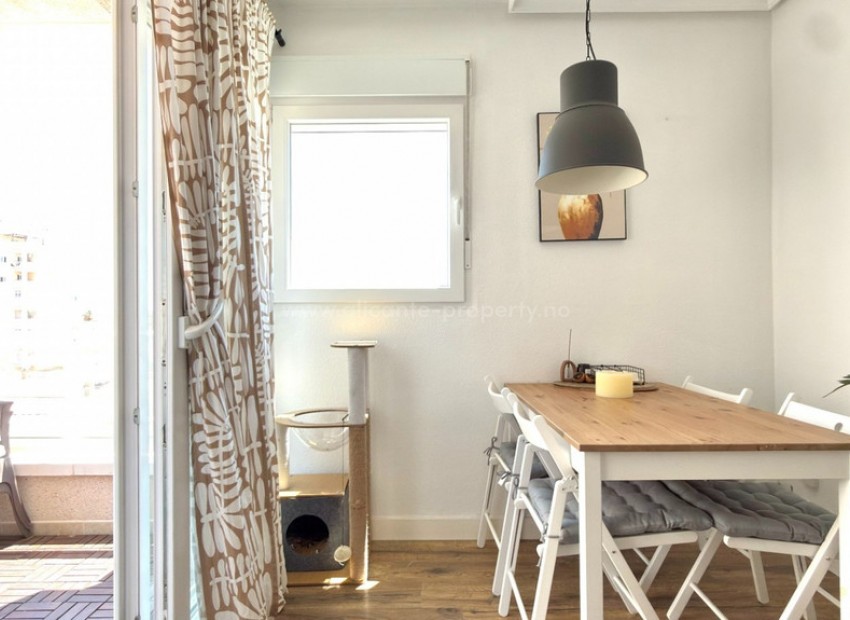 Apartment / flat in Torrevieja Centro