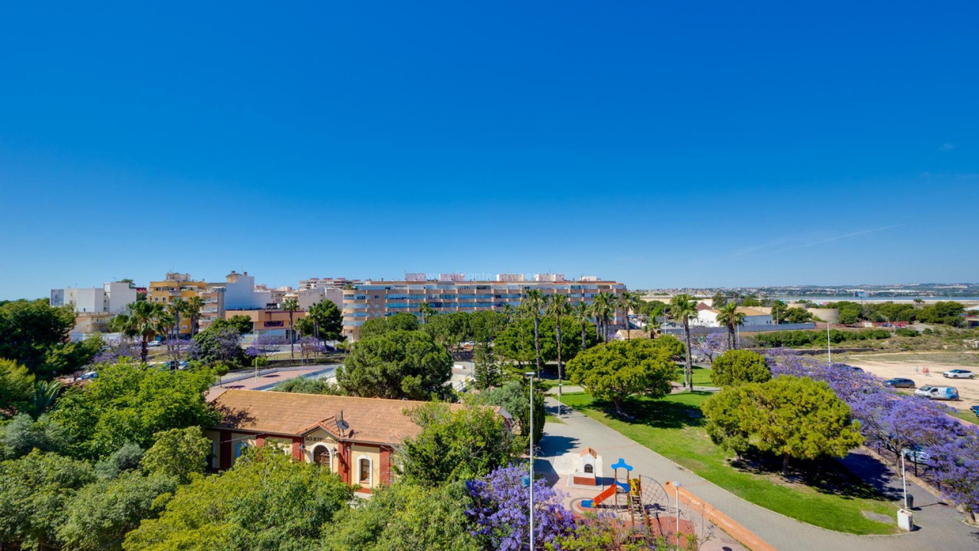 Apartment / flat in Torrevieja Centro