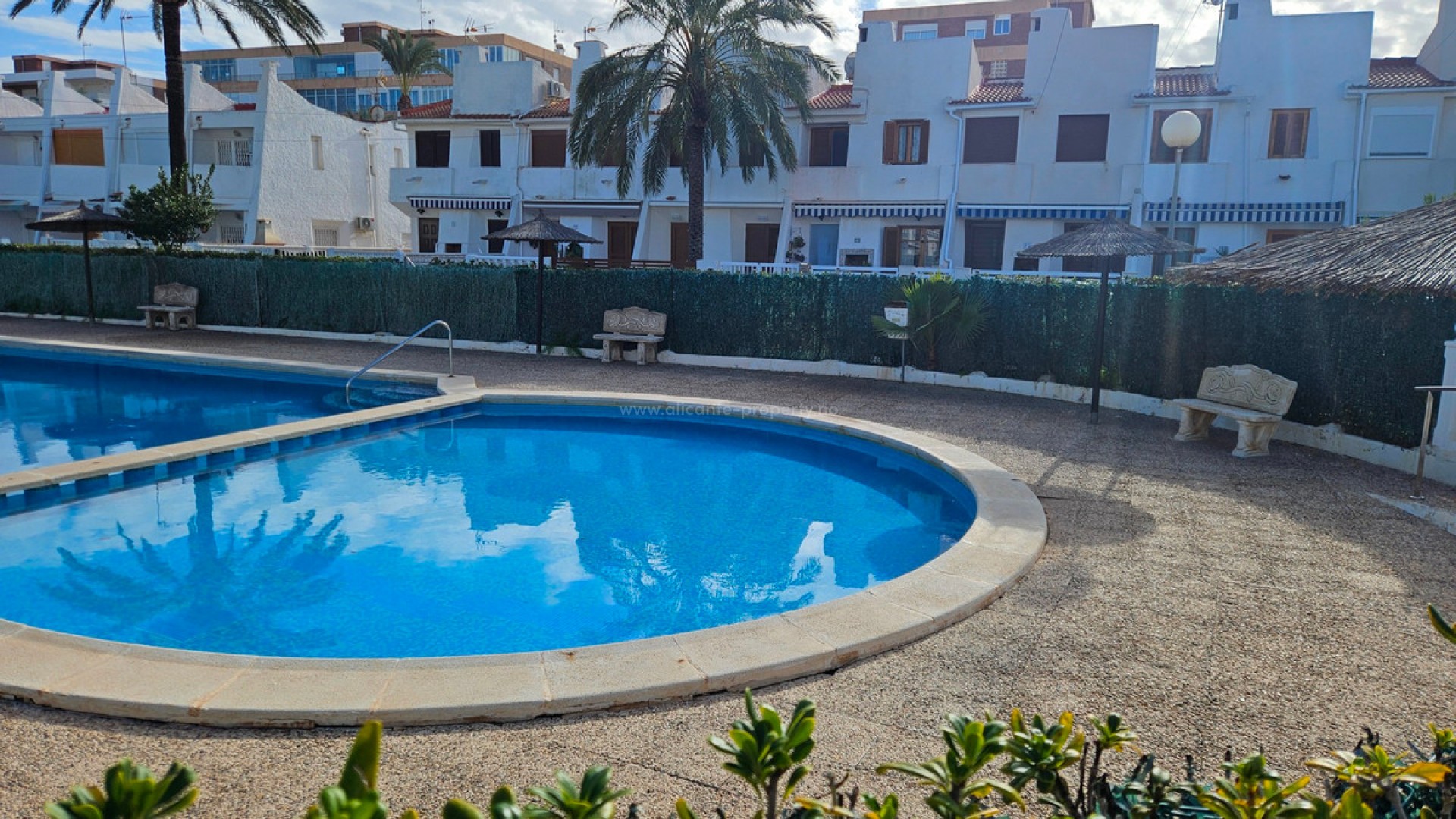 Apartment / flat in Torrevieja Centro