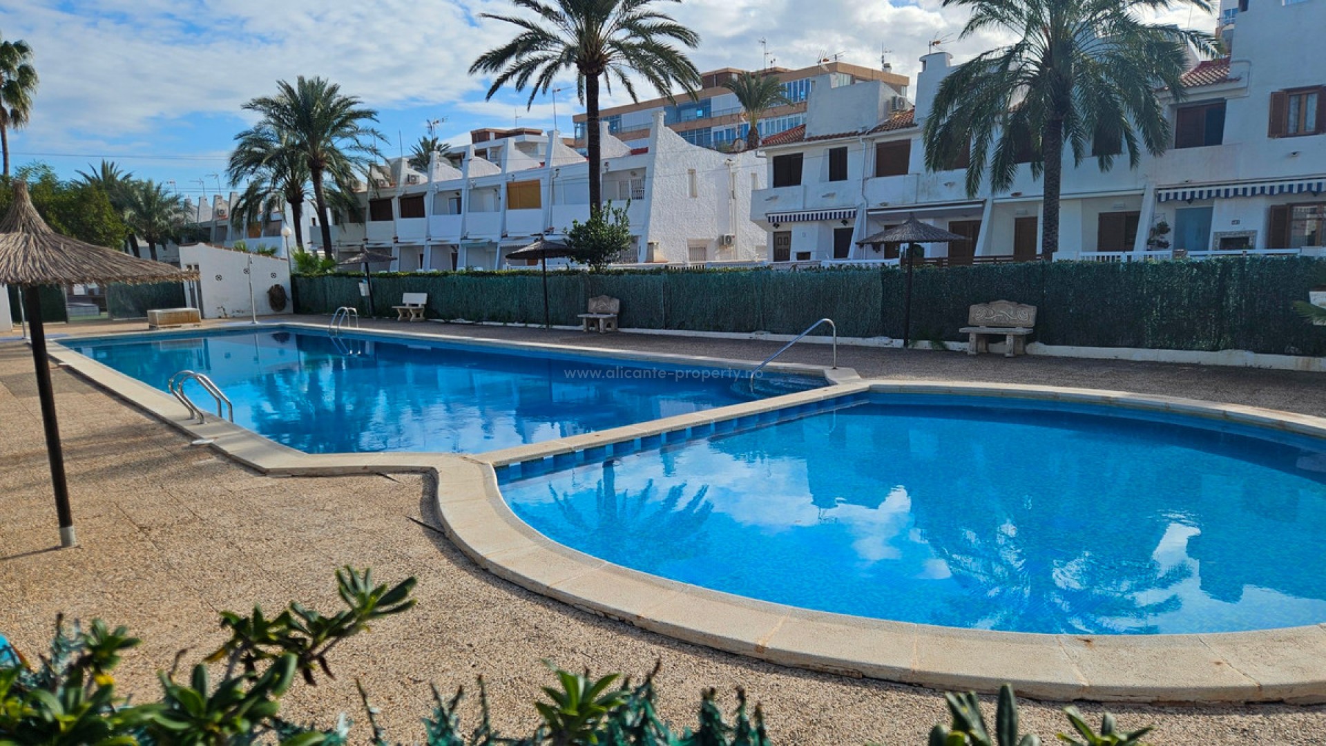 Apartment / flat in Torrevieja Centro