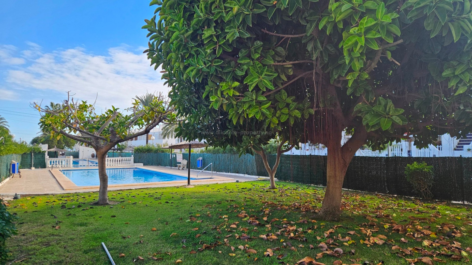 Apartment / flat in Torrevieja Centro
