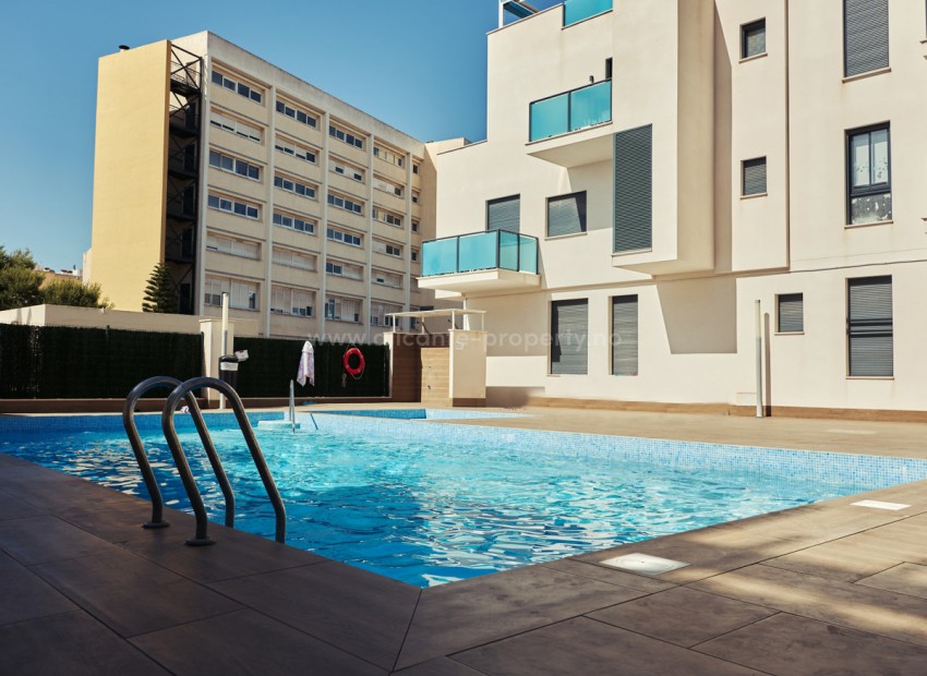Apartment / flat in Torrevieja Centro