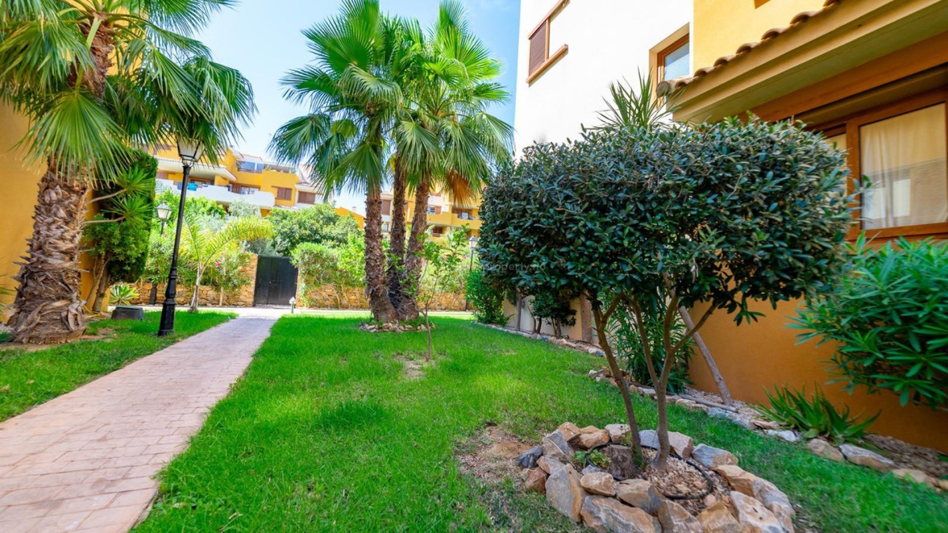 Apartment / flat in Torrevieja Centro