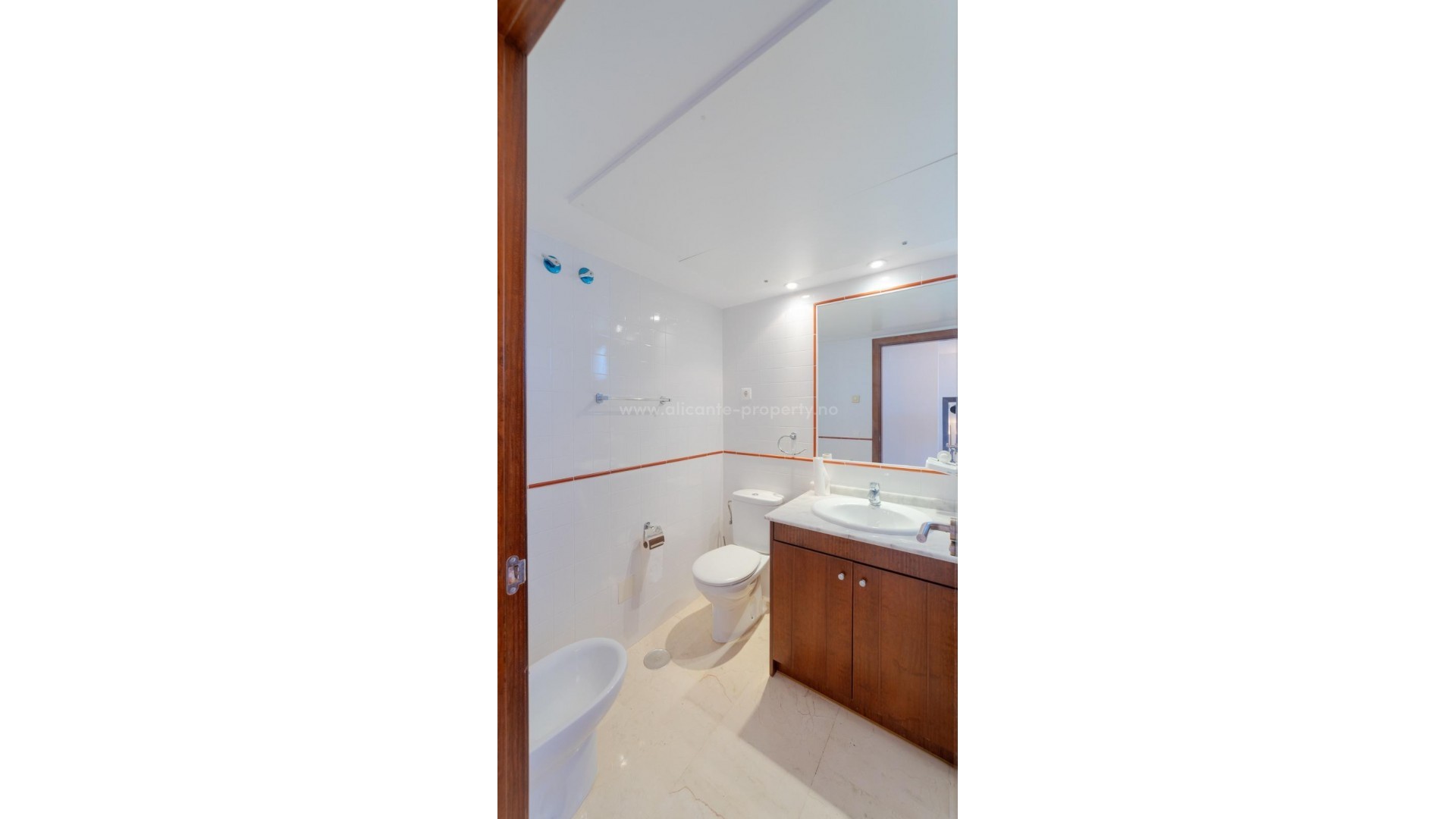 Apartment / flat in Torrevieja Centro