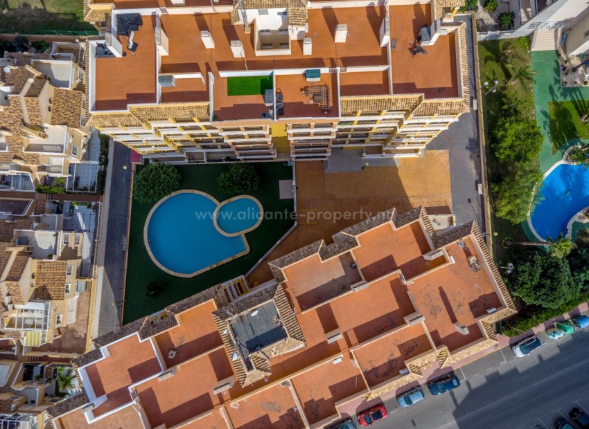 Apartment / flat in Torrevieja Centro