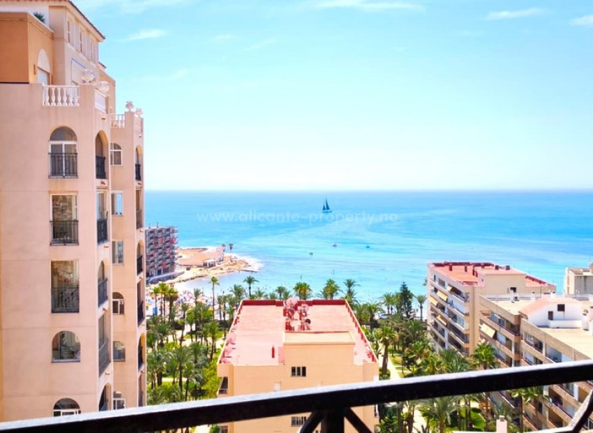 Apartment / flat in Torrevieja Centro
