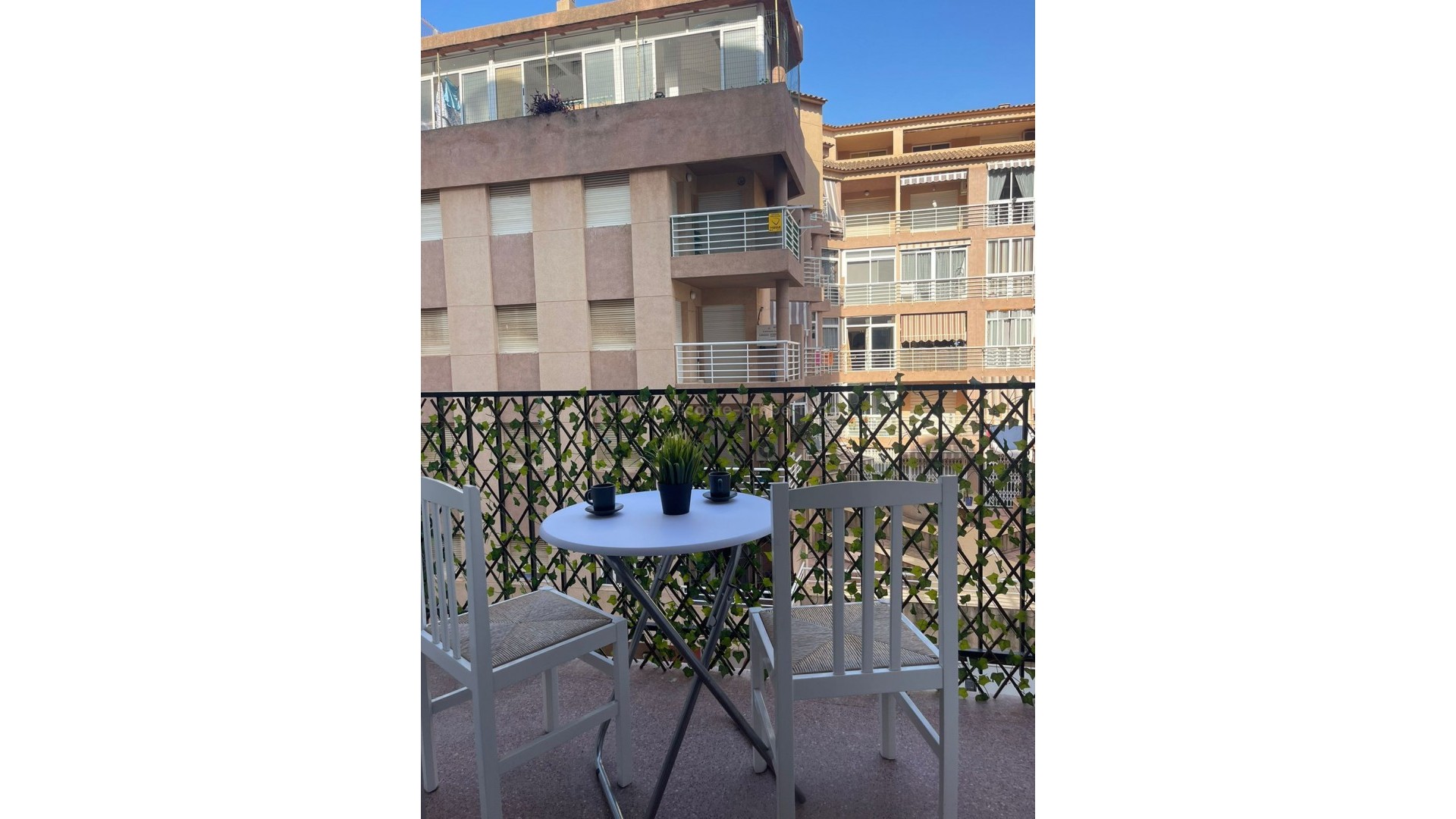 Apartment / flat in Torrevieja Centro