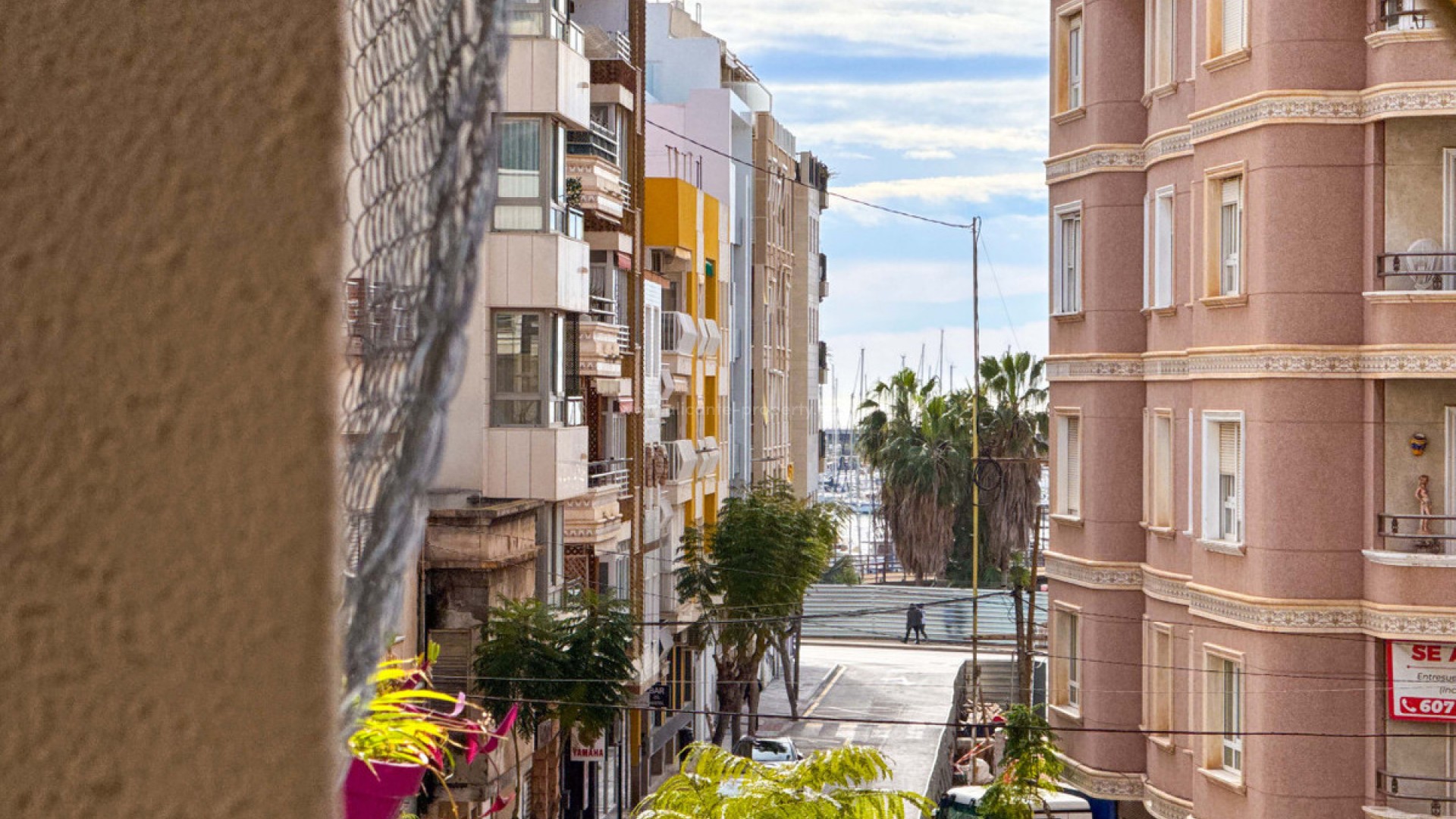 Apartment / flat in Torrevieja Centro