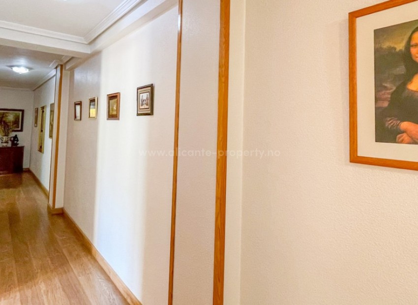 Apartment / flat in Torrevieja Centro