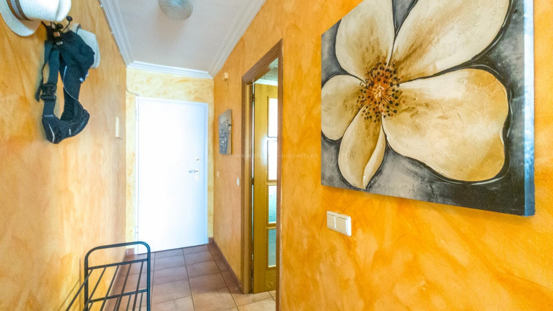 Apartment / flat in Torrevieja Centro