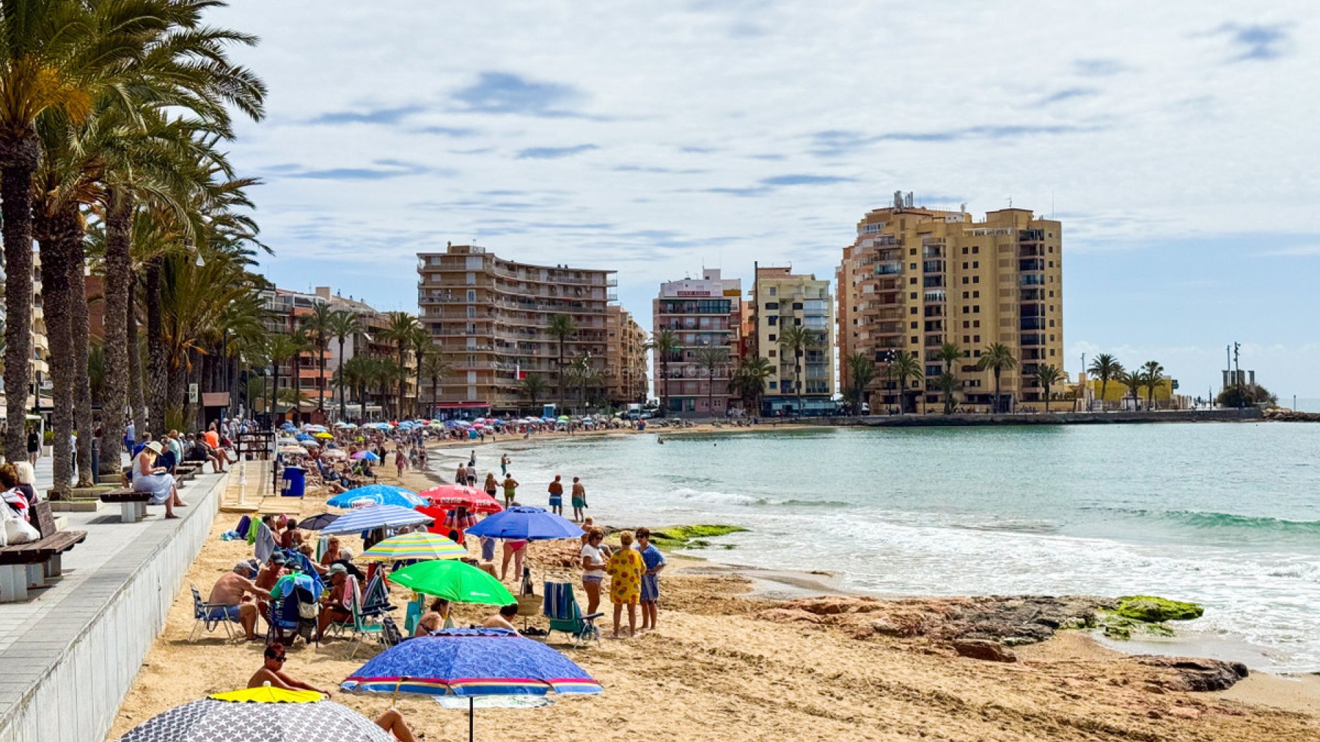 Apartment / flat in Torrevieja Centro