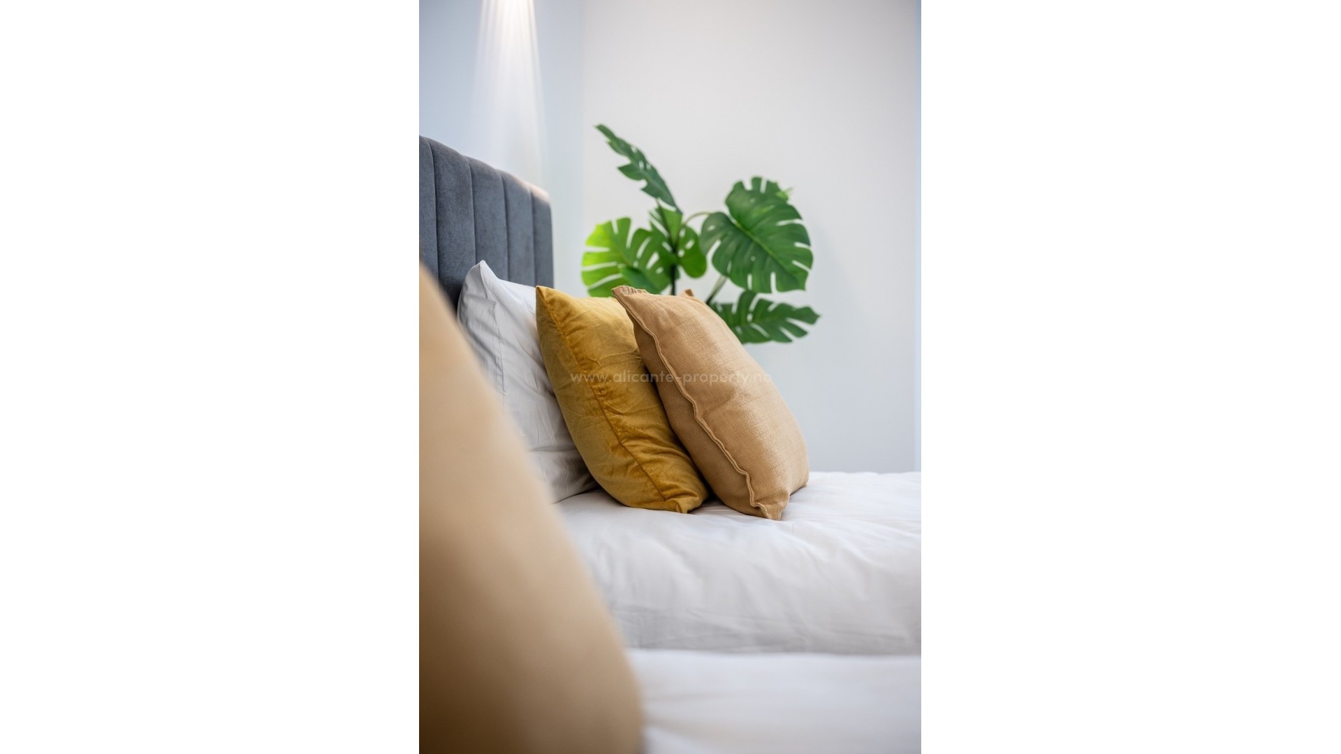 Apartment / flat in Torrevieja Centro