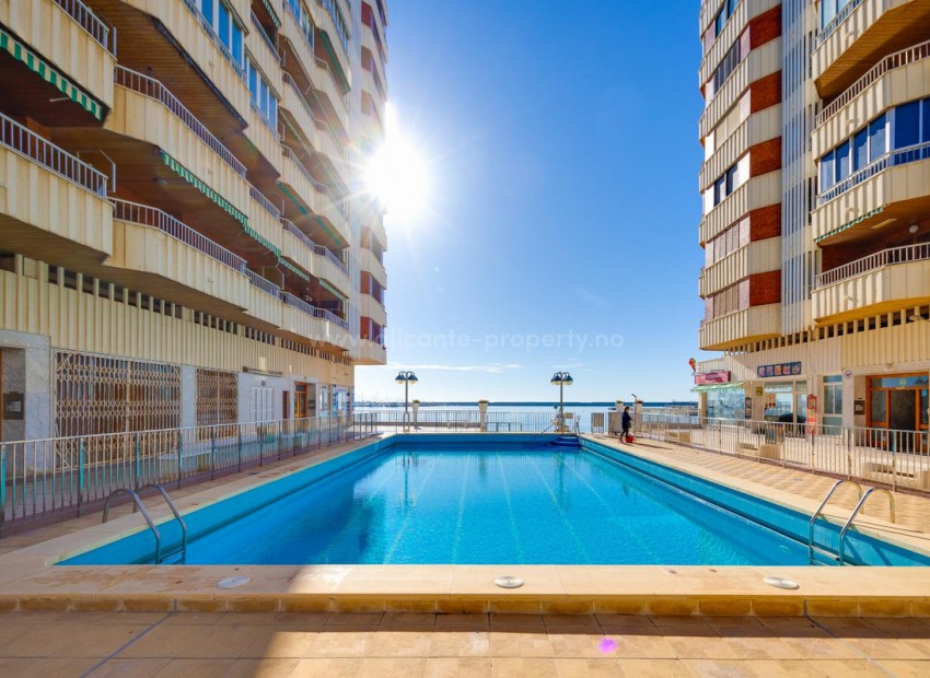 Apartment / flat in Torrevieja Centro