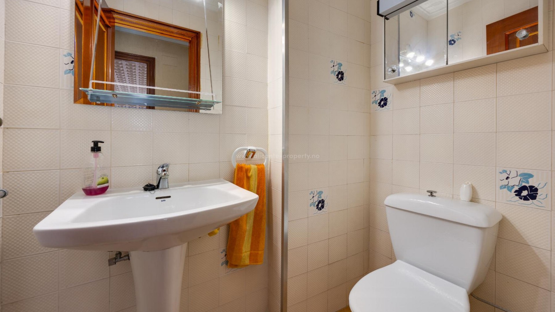 Apartment / flat in Torrevieja Centro