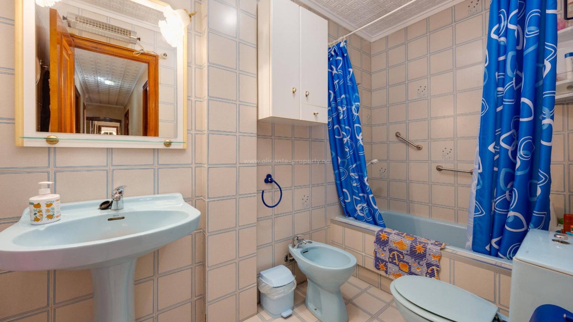 Apartment / flat in Torrevieja Centro