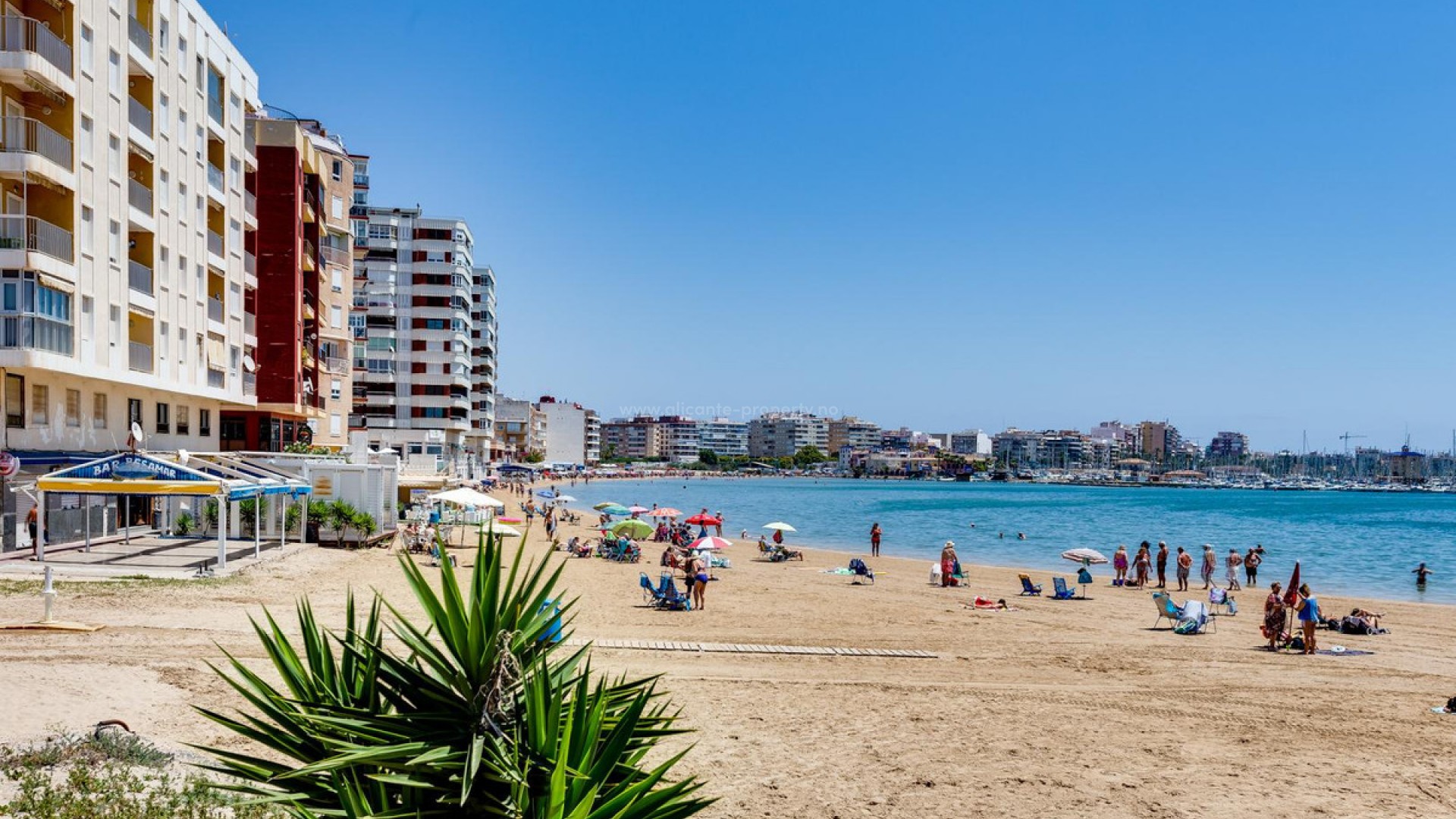 Apartment / flat in Torrevieja Centro