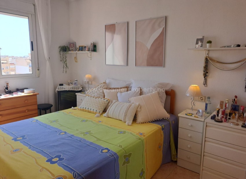 Apartment / flat in Torrevieja Centro