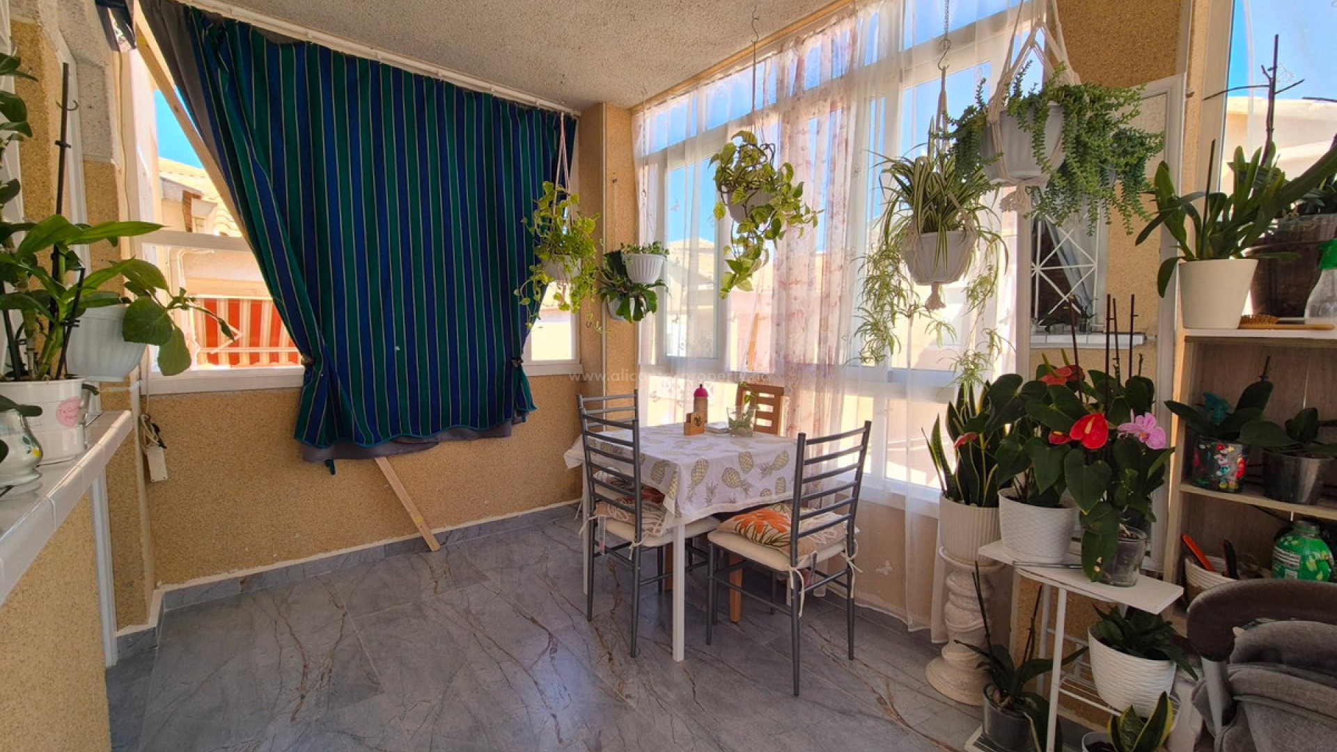 Apartment / flat in Torrevieja Centro