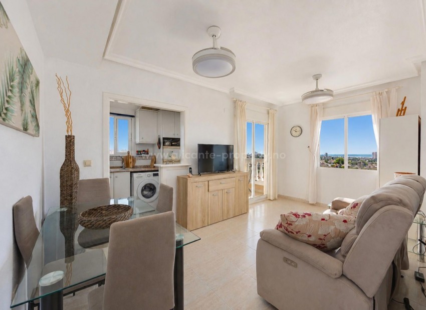 Apartment / flat in Torrevieja Centro