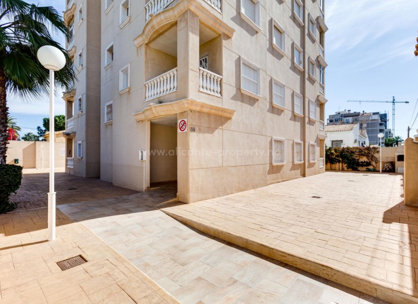 Apartment / flat in Torrevieja Centro